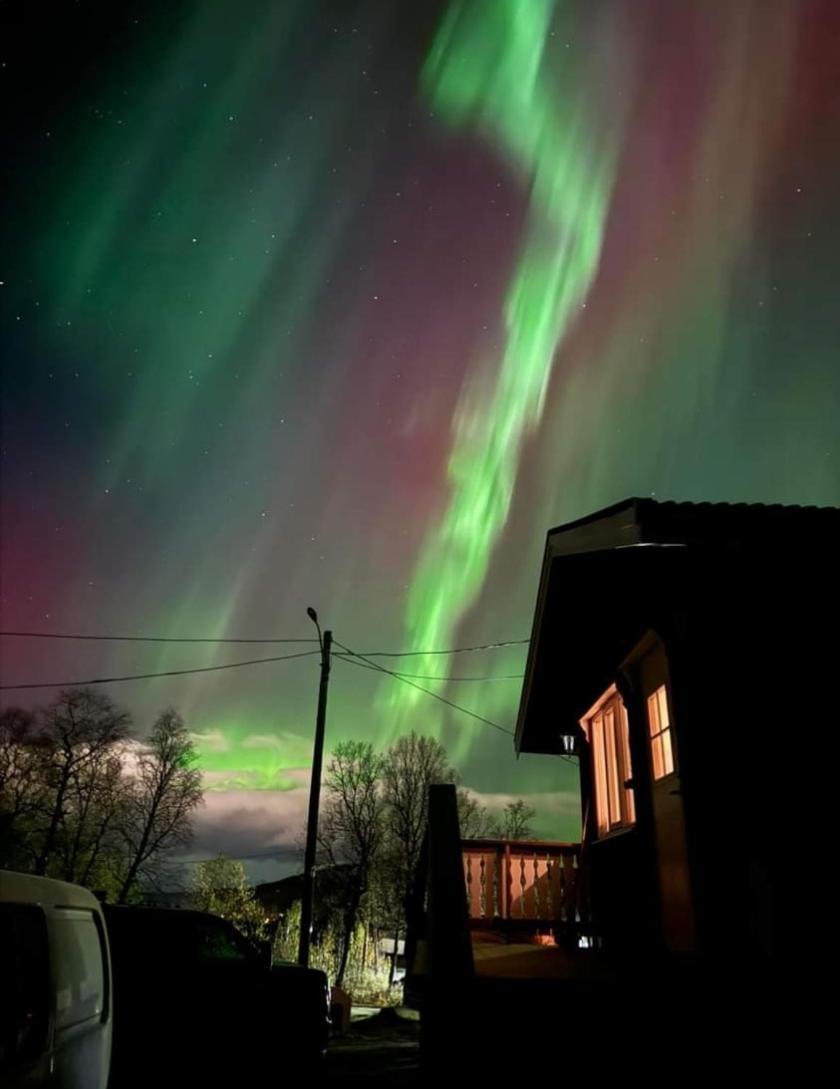 Koselig Leilighet I Narvik Sentrum 5 Soveplasser Gratis Parkering Og Gratis Internett Экстерьер фото